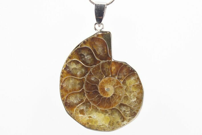 Fossil Ammonite Pendant - Million Years Old #306414